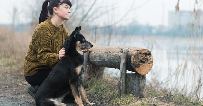 The fawn response: when people-pleasing is a survival strategy image